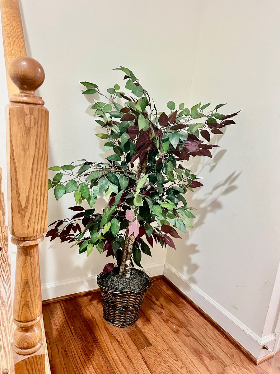 Furnished Finder property 1039217_1 photo 9