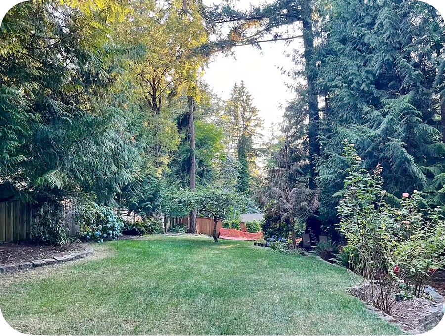 Furnished Finder property 1039236_1 photo 17