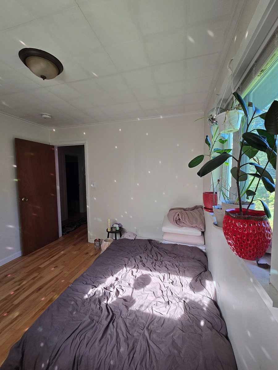 Furnished Finder property 1039253_1 photo 4