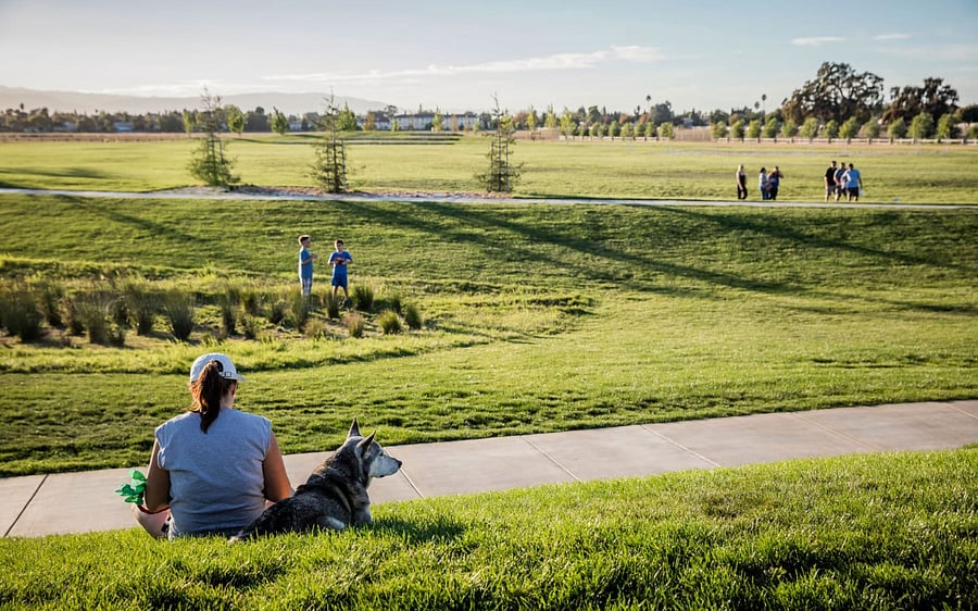 Martial Cottle Park