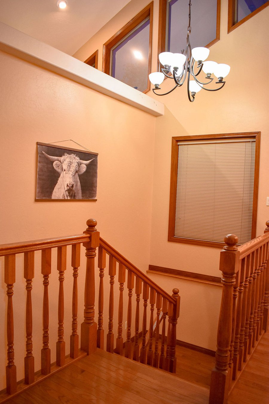 Furnished Finder property 1039362_1 photo 5