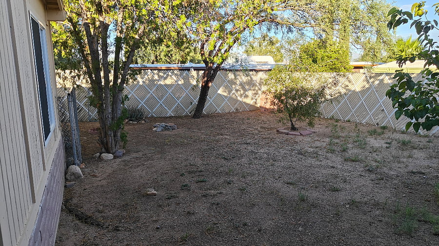 Backyard view on the right side of the patio