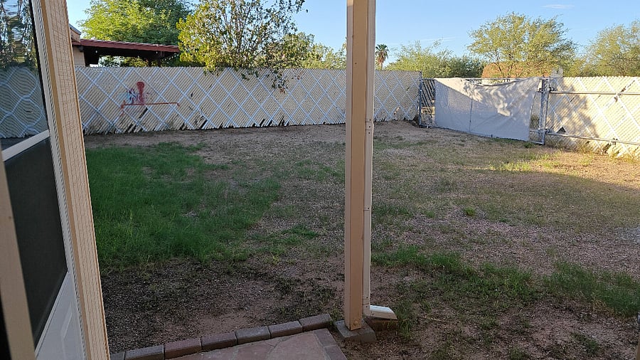 Backyard, left side of the back patio