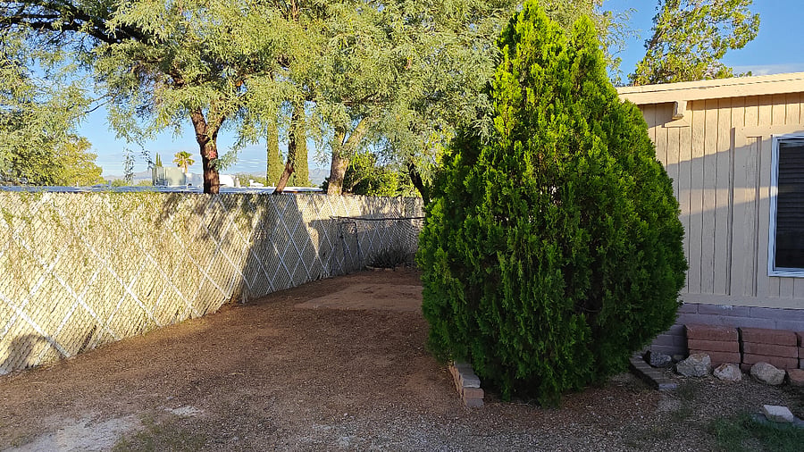 Backyard view behind the back  patio