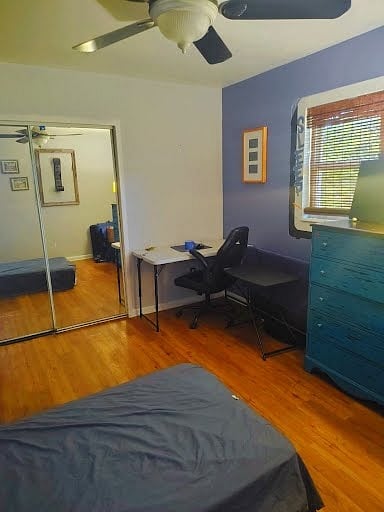 Furnished Finder property 1039392_1 photo 1