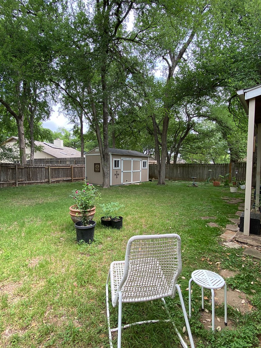 Furnished Finder property 1039450_1 photo 17