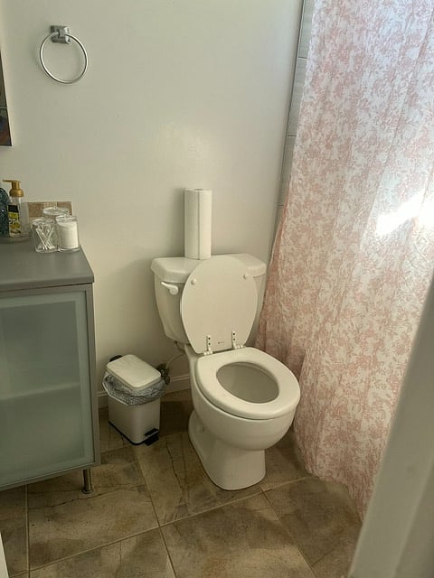 Furnished Finder property 1039521_1 photo 10
