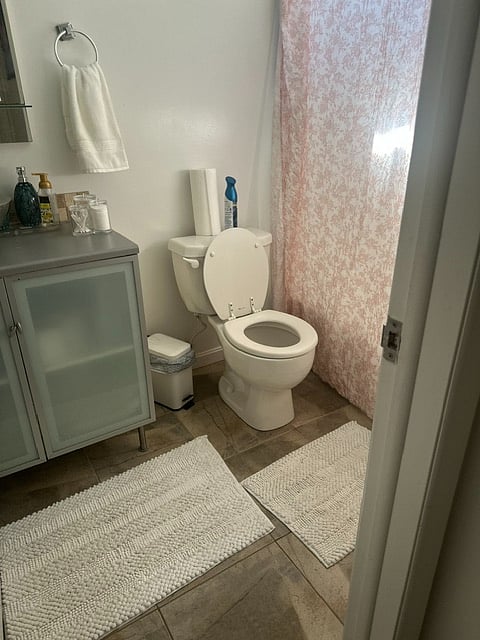 Furnished Finder property 1039521_1 photo 8