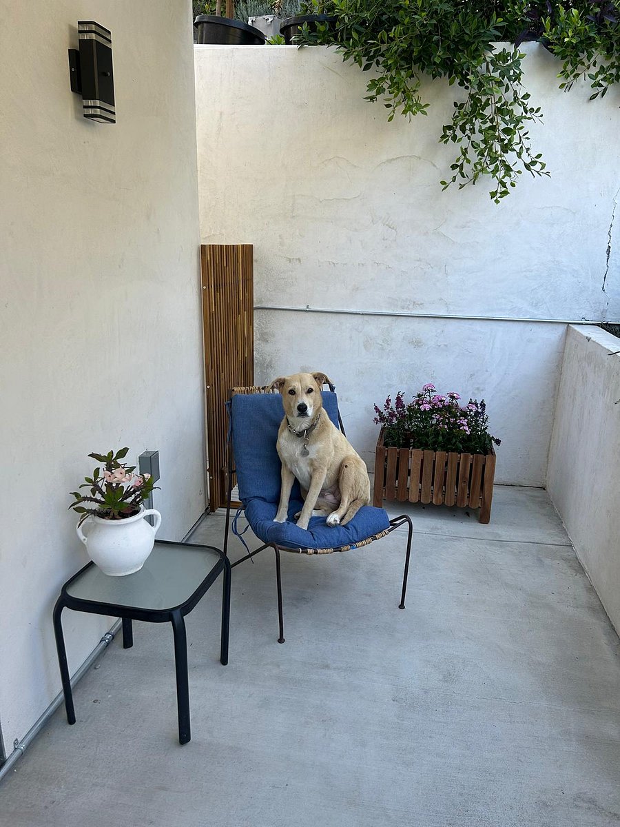 Furnished Finder property 1039619_1 photo 21