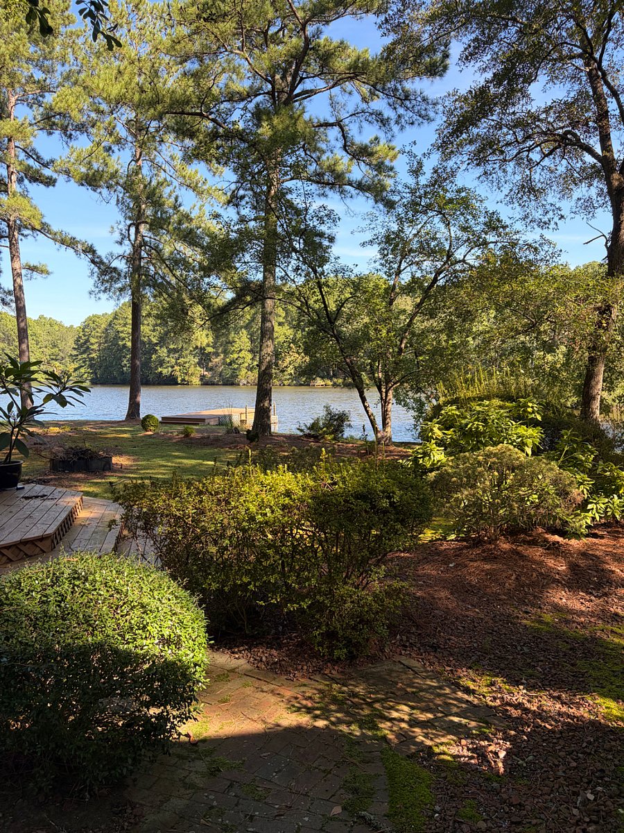 Furnished Finder property 1039799_1 photo 7
