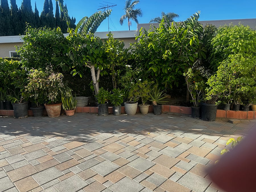 Furnished Finder property 1039824_1 photo 16