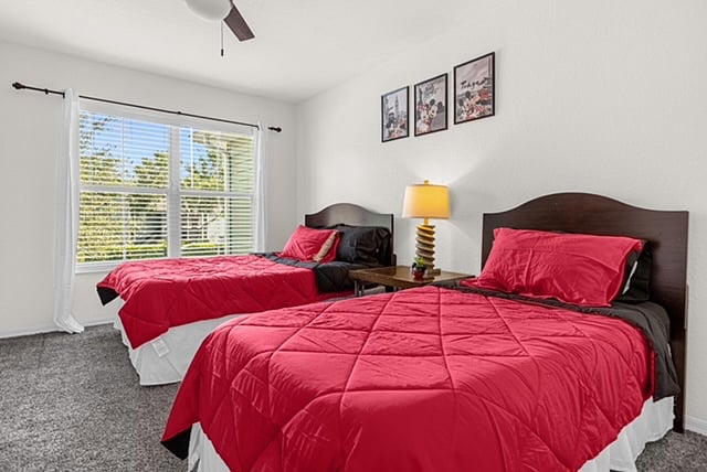 Furnished Finder property 1039848_1 photo 13