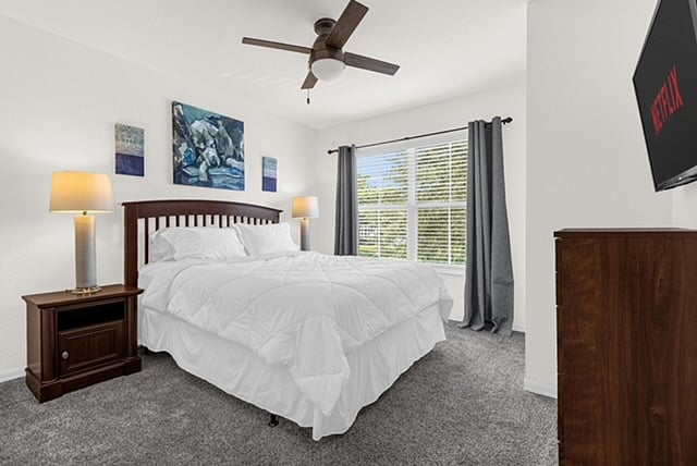 Furnished Finder property 1039848_1 photo 15