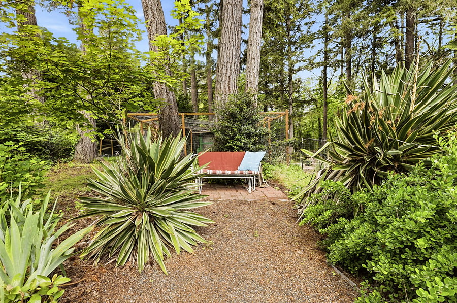 Yard and chicken coop behind