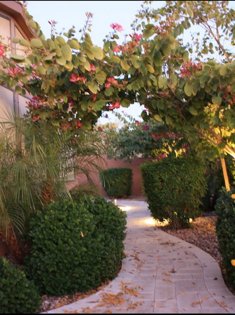 Furnished Finder property 1039915_1 photo 3
