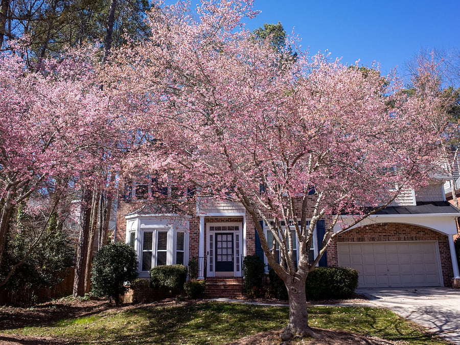Furnished Finder property 1039921_1 photo 29