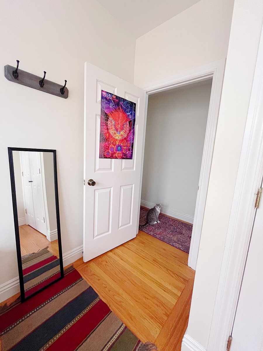 Room #2 & my cat :)