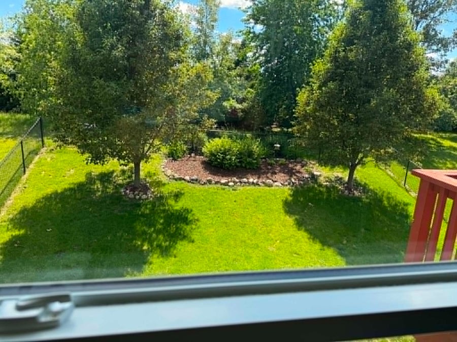 back yard