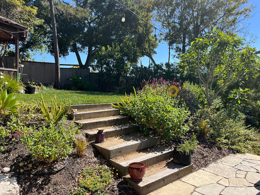 Shared backyard