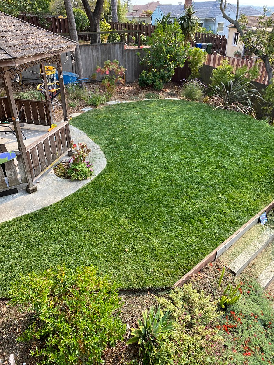 View of the shared backyard from the studio balcony