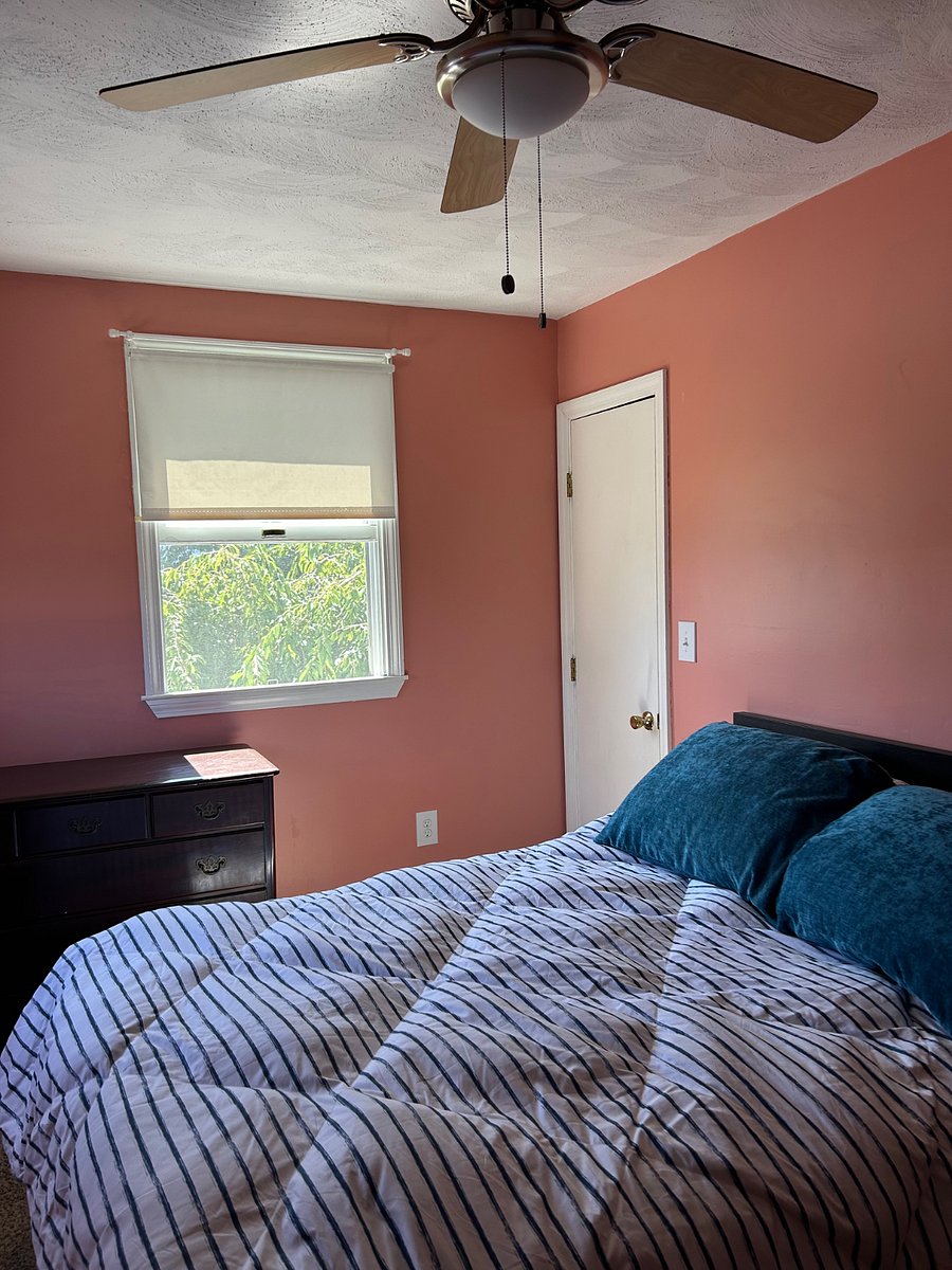 Furnished Finder property 1040318_1 photo 15