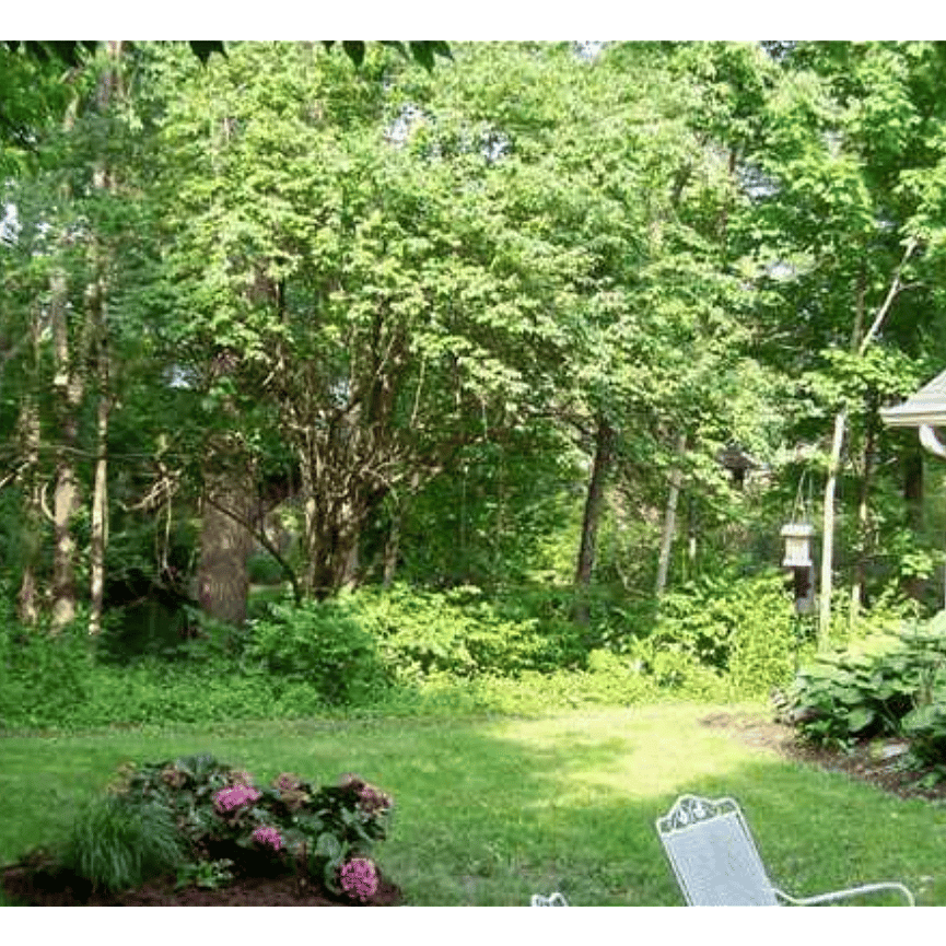Furnished Finder property 1040352_1 photo 6