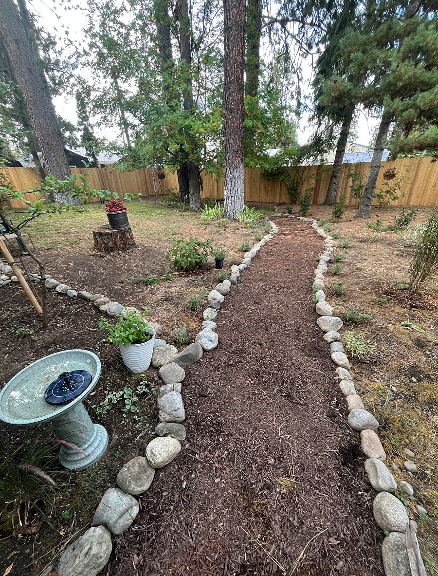 Back fenced yard