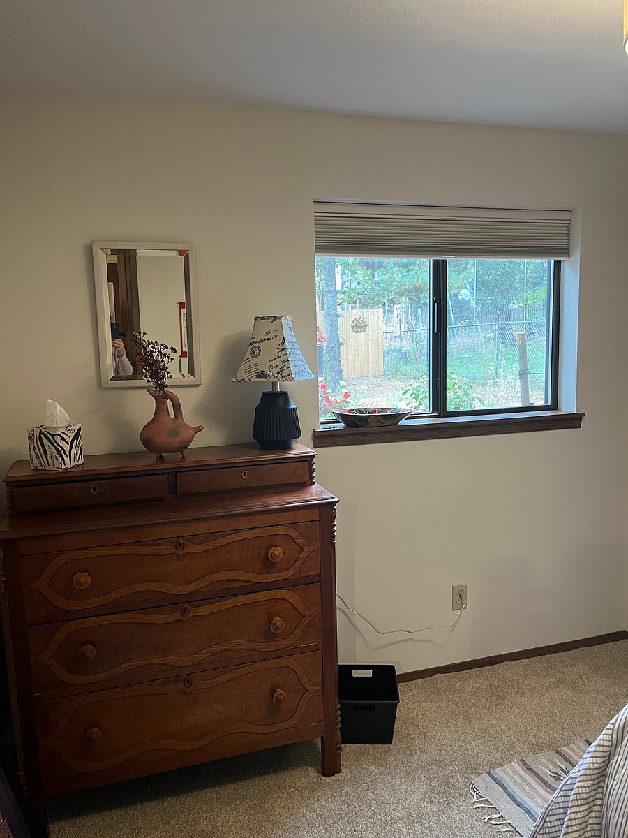 Downstairs bedroom looks out to back yard 