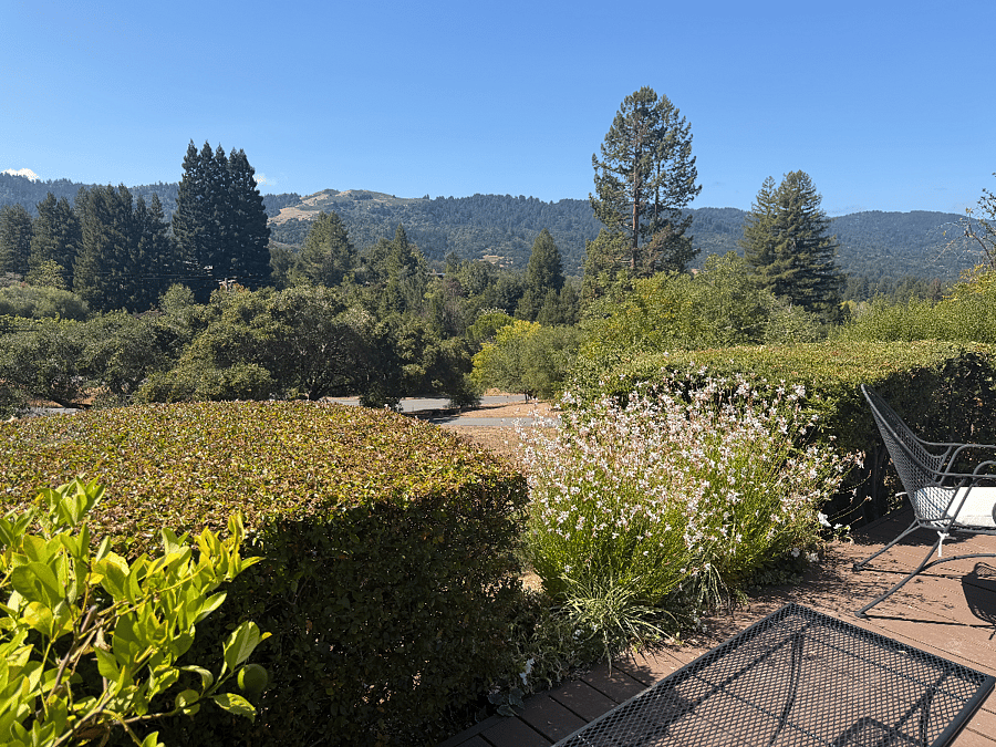 Furnished Finder property 1040745_1 photo 9