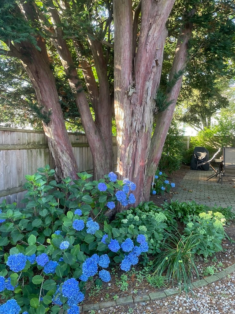 Furnished Finder property 1040850_1 photo 24