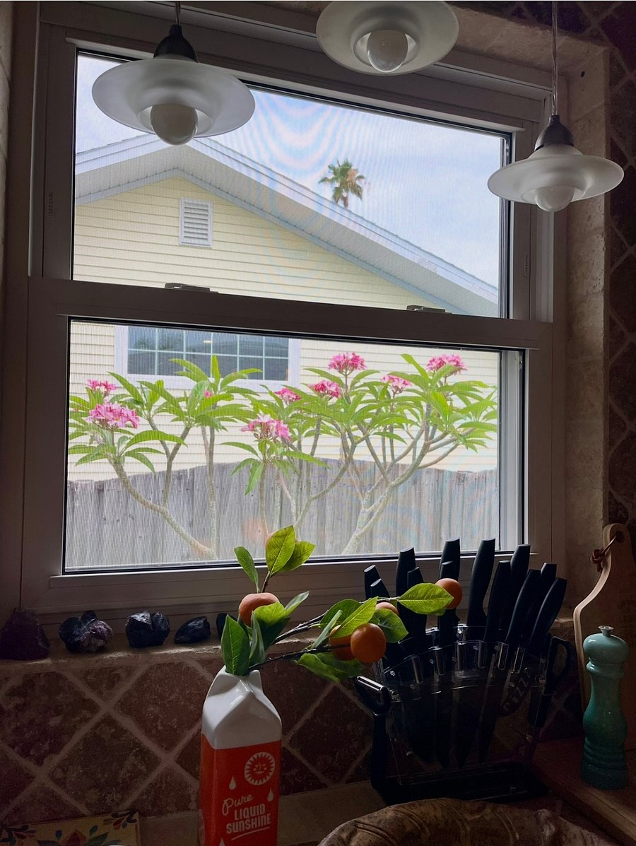 Furnished Finder property 1040859_1 photo 17