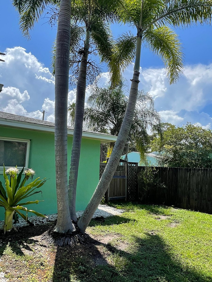 Furnished Finder property 1040859_1 photo 51