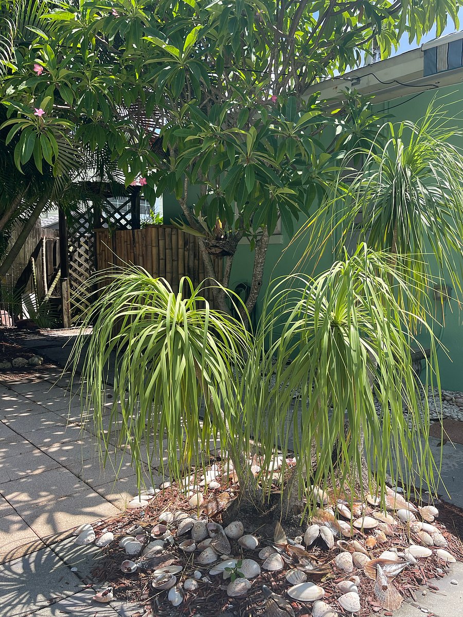 Furnished Finder property 1040859_1 photo 55