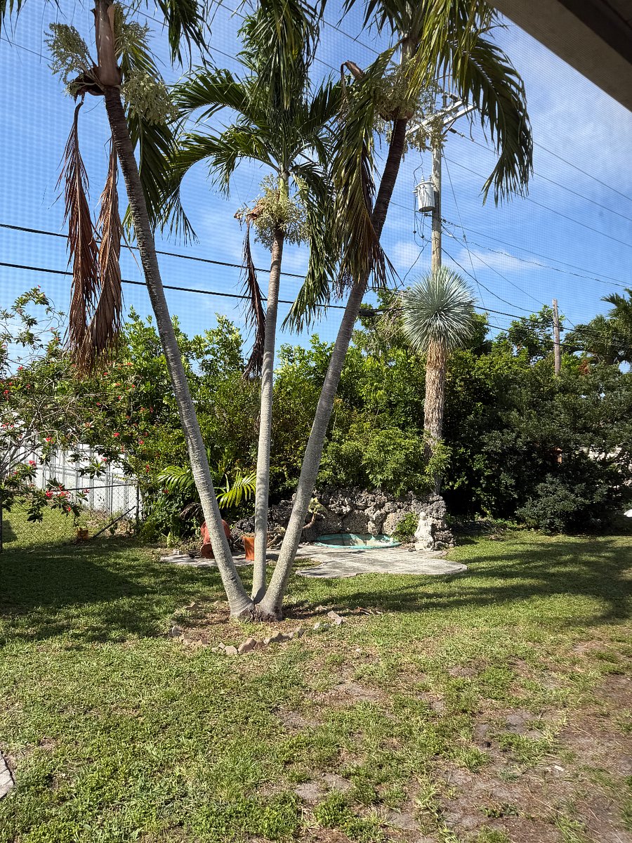 Furnished Finder property 1040921_1 photo 12