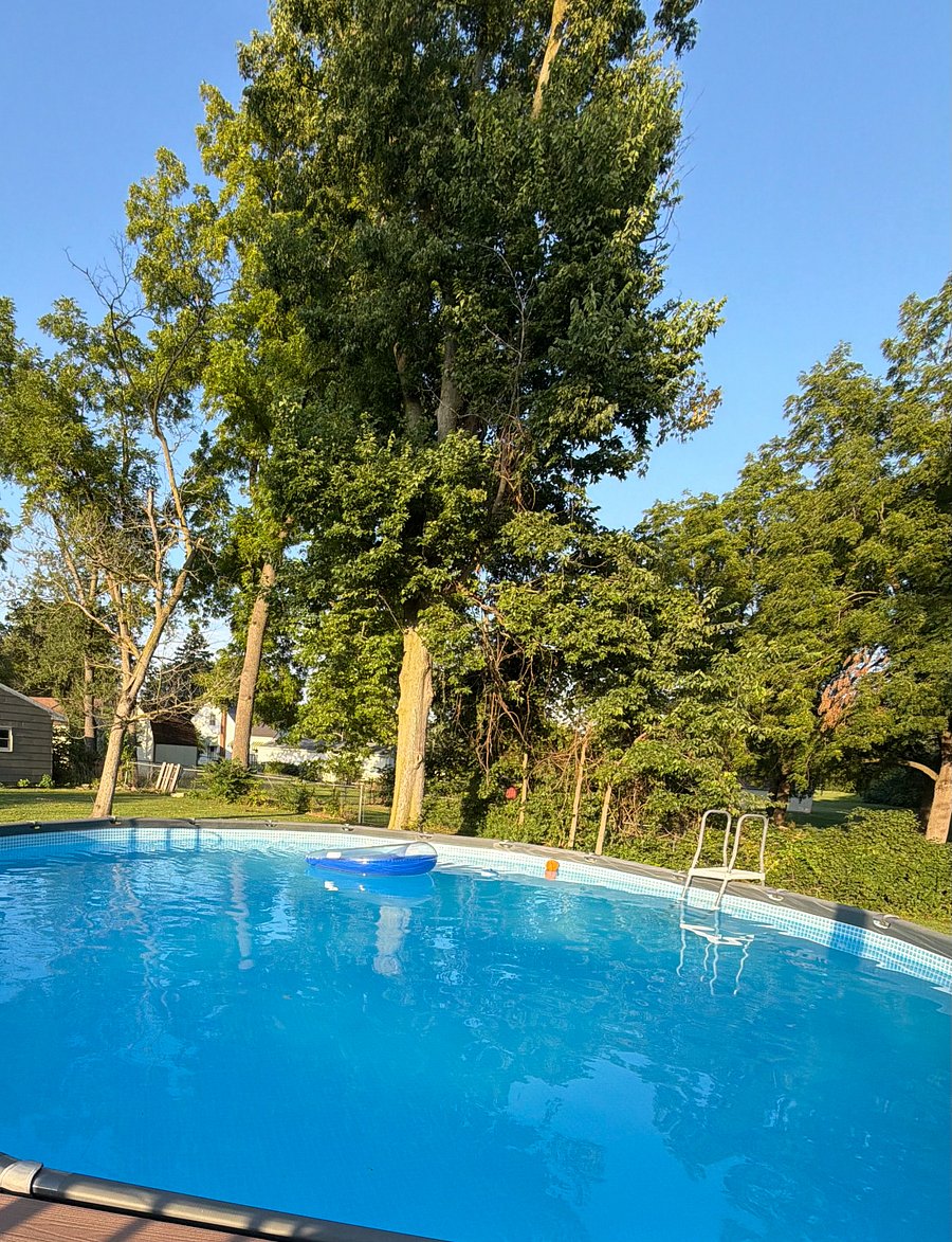 Pool Deck View