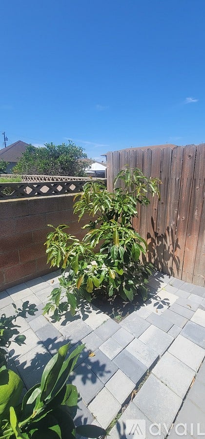Furnished Finder property 1041092_1 photo 20