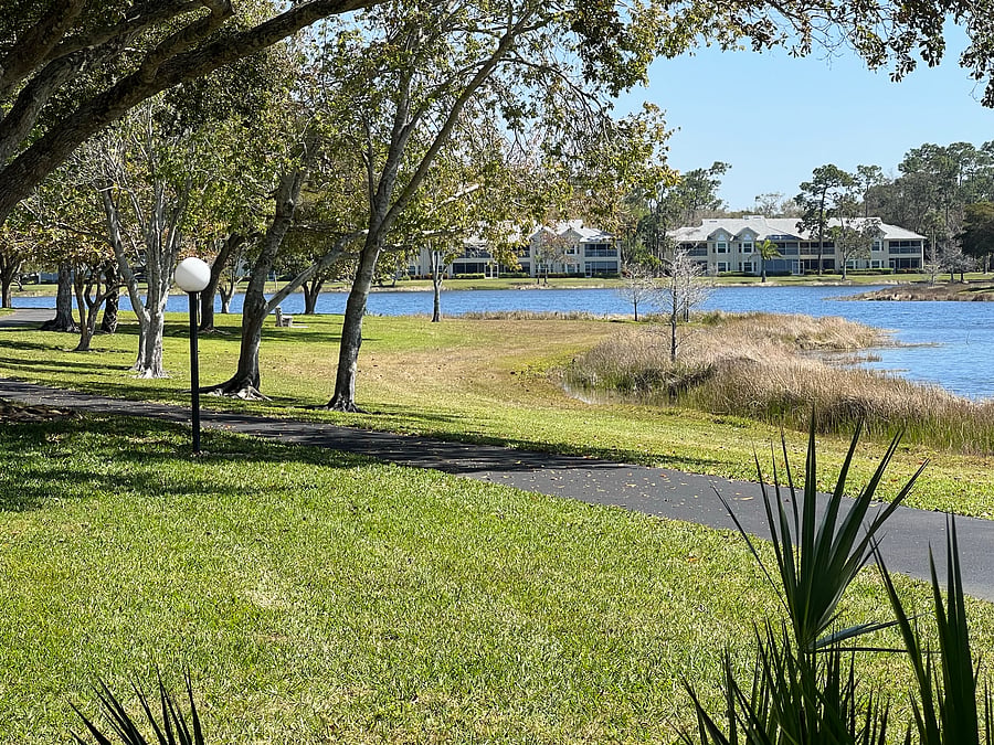 Furnished Finder property 1041441_1 photo 17