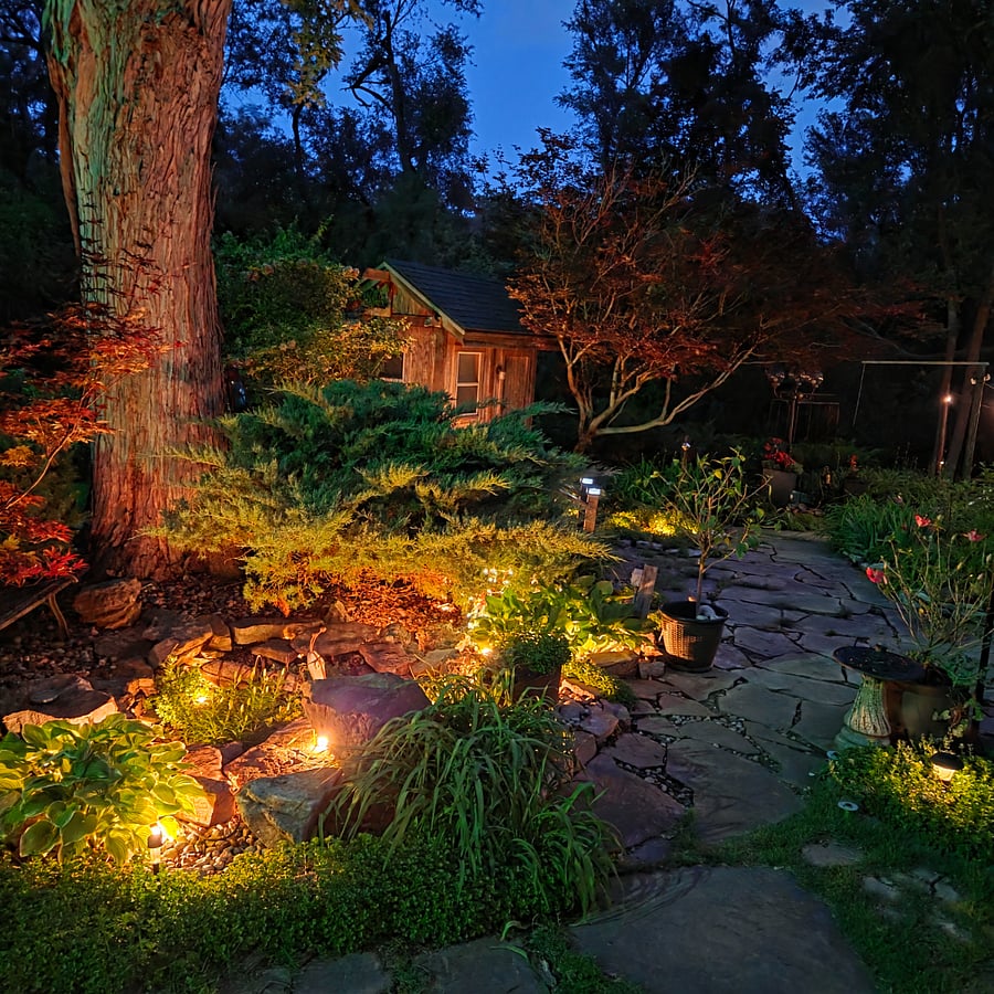 Quiet backyard