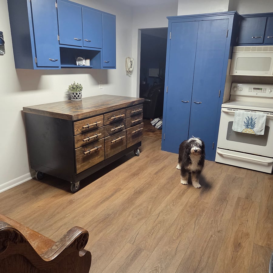 Shared kitchen area