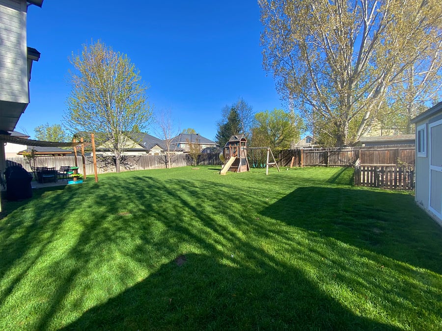 Fenced in back yard.
