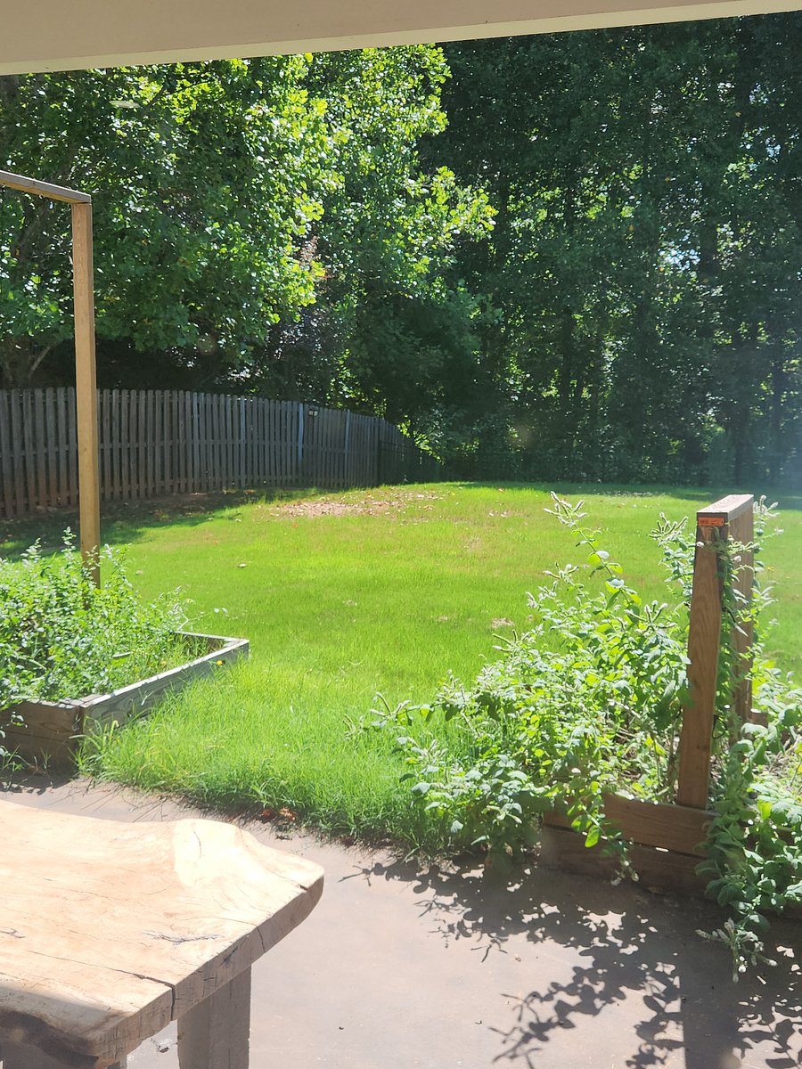 Furnished Finder property 1041678_1 photo 8