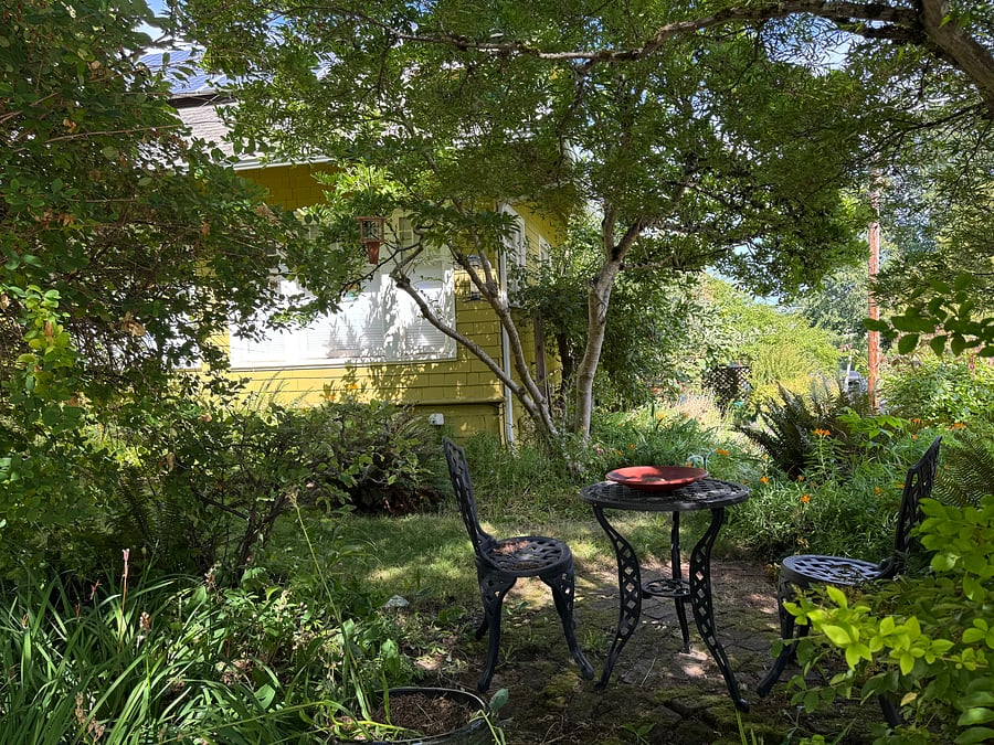 Patio in front garden