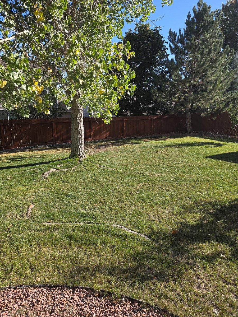 Furnished Finder property 1041721_1 photo 15
