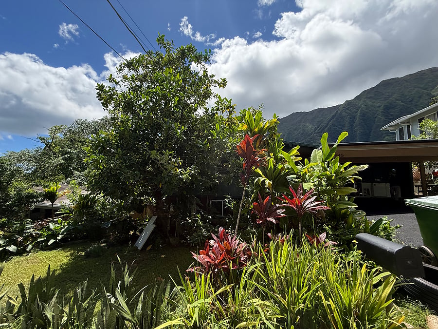 Furnished Finder property 1041723_1 photo 3