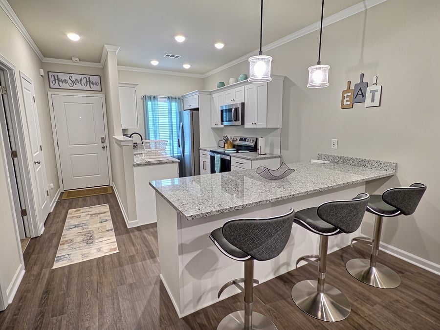 Entrance and Kitchen/Dining area view