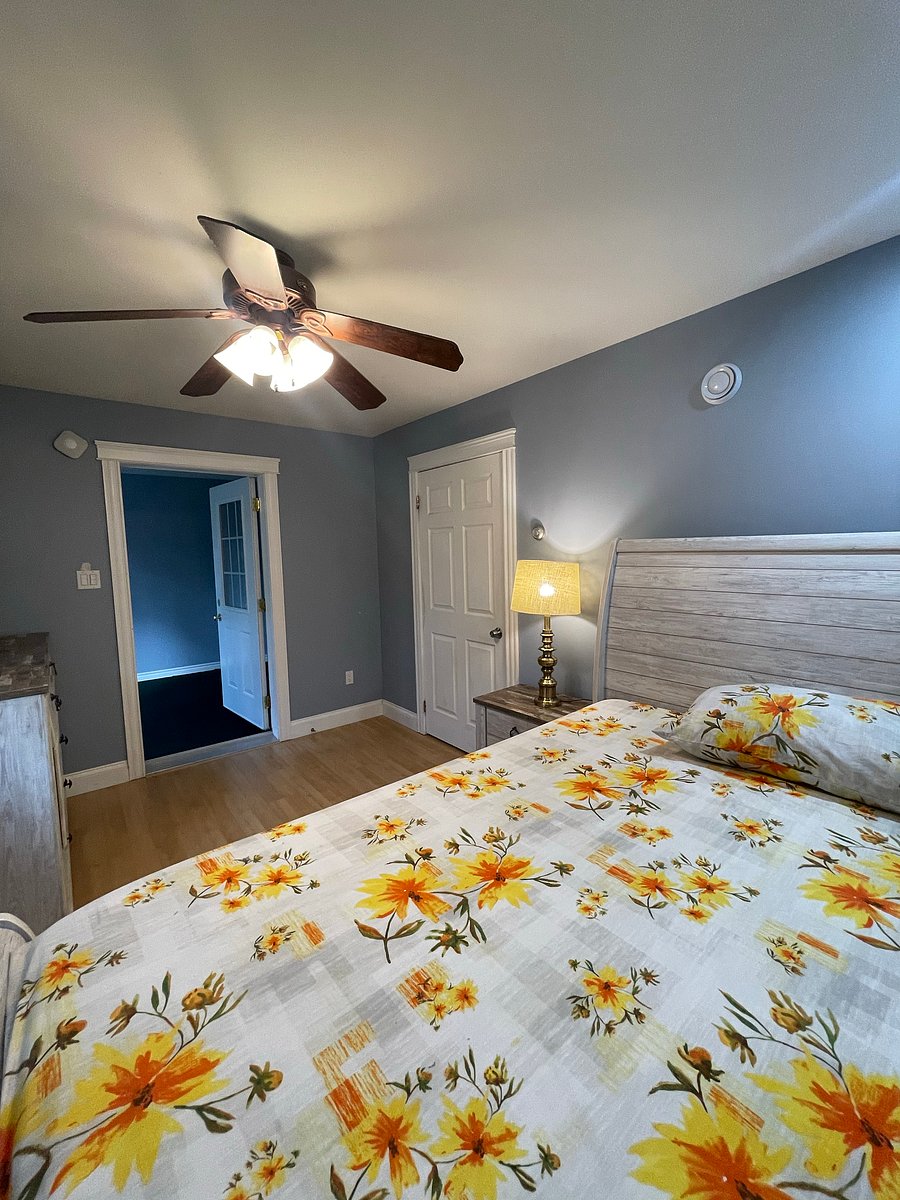 Furnished Finder property 1041996_1 photo 9