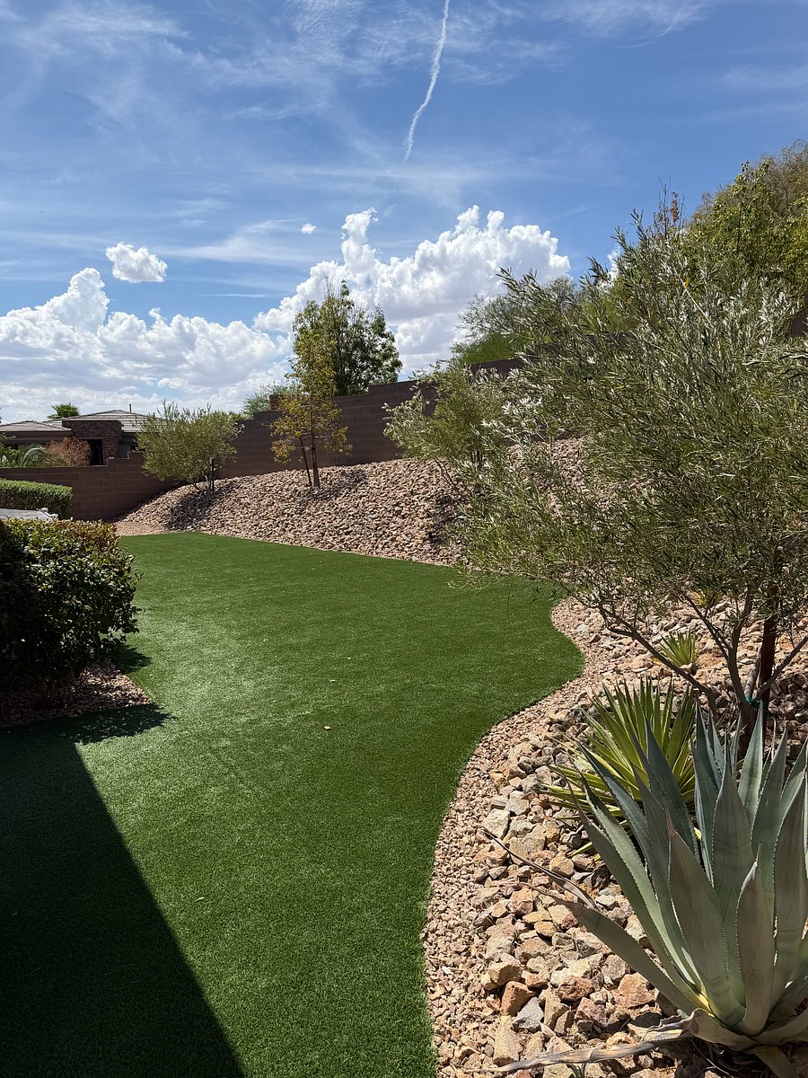 Large side yard for lawn games