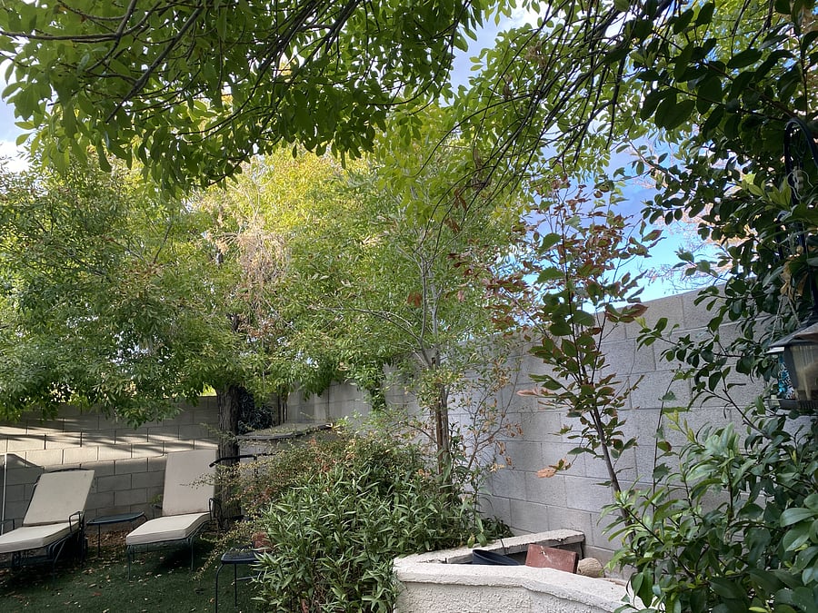 Furnished Finder property 1042058_1 photo 5