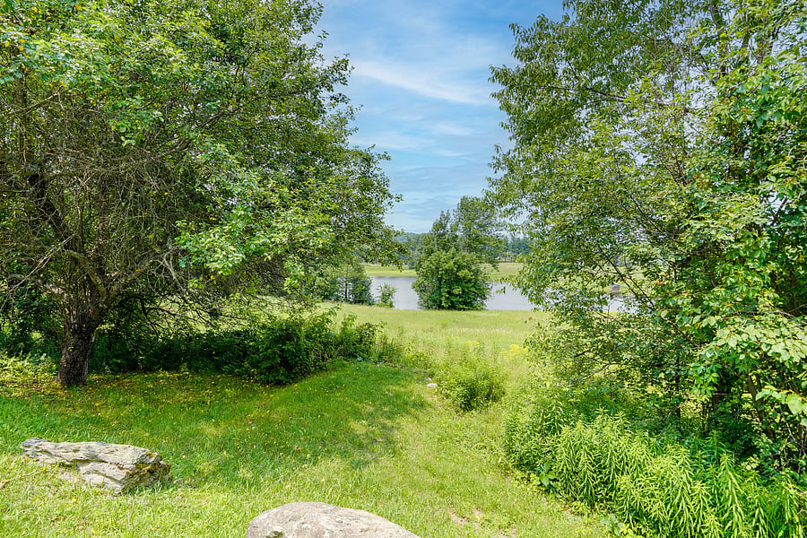 Furnished Finder property 1042119_1 photo 40
