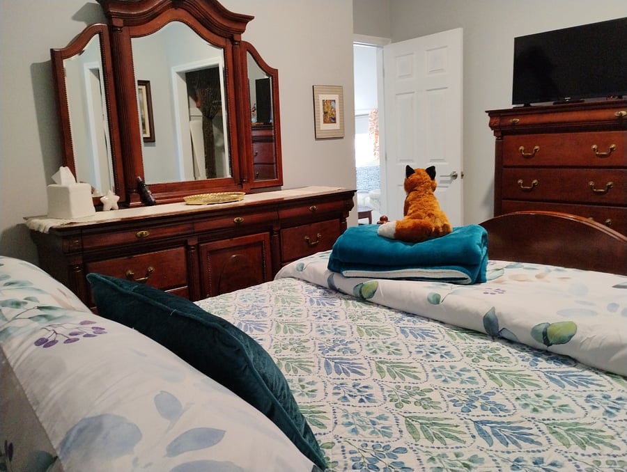 Furnished Finder property 1042166_1 photo 2